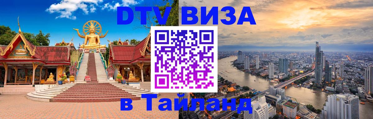 Оформление DTV визы под ключ: стоимость и тарифы, только загранпаспорт - 19.11.2025 
